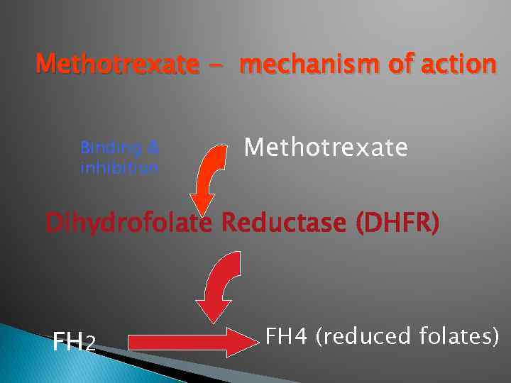 Methotrexate - mechanism of action Binding & inhibition Methotrexate Dihydrofolate Reductase (DHFR) FH 2