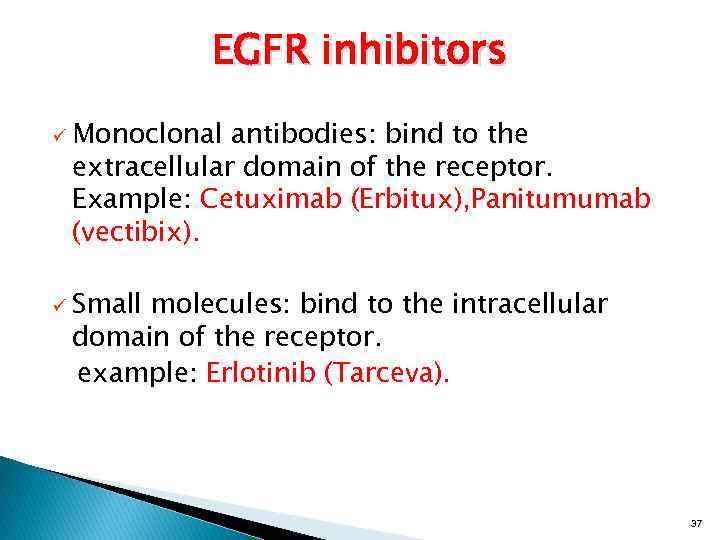 EGFR inhibitors ü Monoclonal antibodies: bind to the extracellular domain of the receptor. Example: