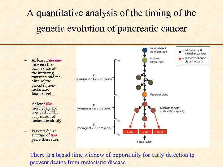 A quantitative analysis of the timing of the genetic evolution of pancreatic cancer –