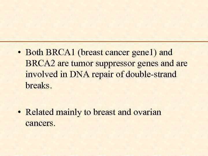  • Both BRCA 1 (breast cancer gene 1) and BRCA 2 are tumor