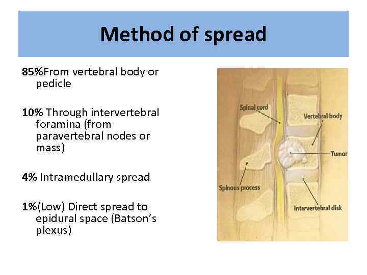 Method of spread 85%From vertebral body or pedicle 10% Through intervertebral foramina (from paravertebral