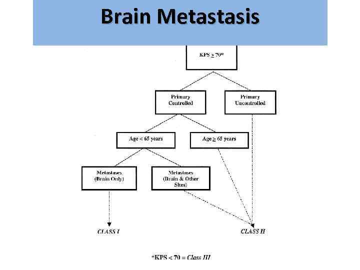 Brain Metastasis גרורות מוחיות 