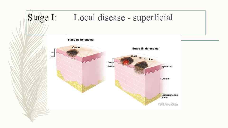 Stage I: Local disease - superficial 