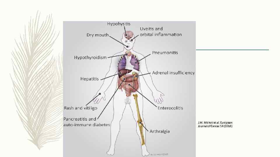 J. M. Michot et al. European Journal of Cancer 54 (2016) 