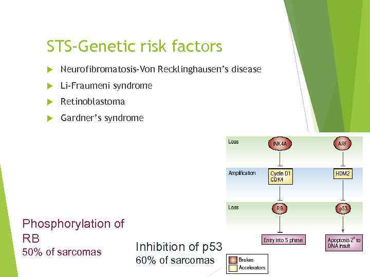 STS-Genetic risk factors Neurofibromatosis-Von Recklinghausen’s disease Li-Fraumeni syndrome Retinoblastoma Gardner’s syndrome Phosphorylation of RB