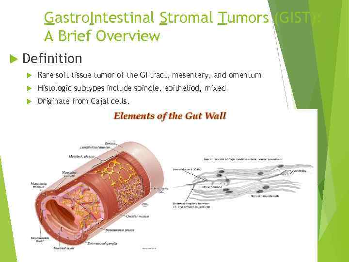 Gastro. Intestinal Stromal Tumors (GIST): A Brief Overview Definition Rare soft tissue tumor of