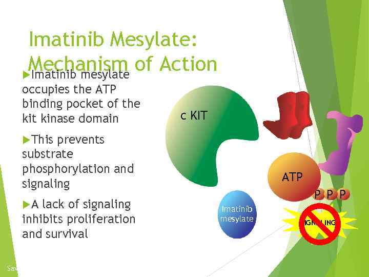 Imatinib Mesylate: Mechanism of Action Imatinib mesylate occupies the ATP binding pocket of the