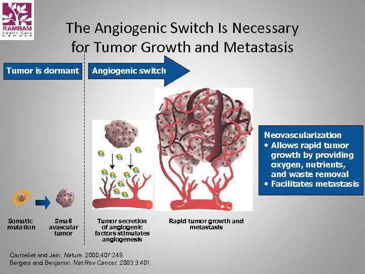 The Angiogenic Switch Is Necessary for Tumor Growth and Metastasis Tumor is dormant Angiogenic