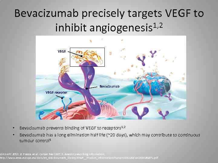 Bevacizumab precisely targets VEGF to inhibit angiogenesis 1, 2 VEGF Bevacizumab VEGF receptor •