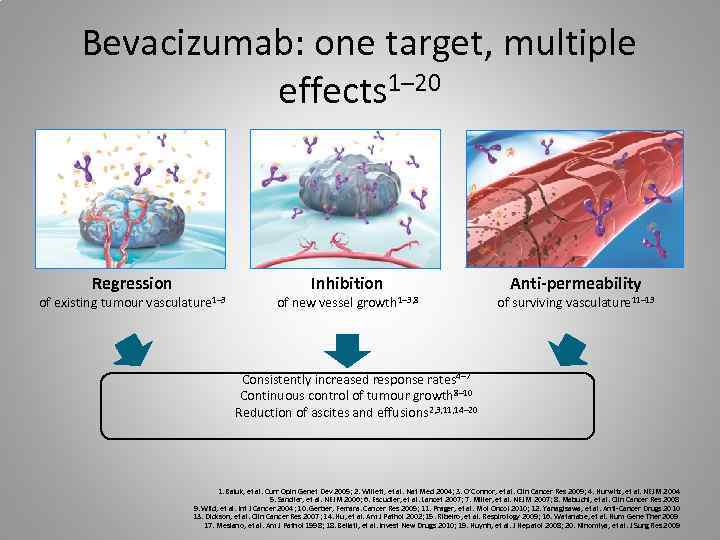 Bevacizumab: one target, multiple effects 1– 20 Regression of existing tumour vasculature 1– 3