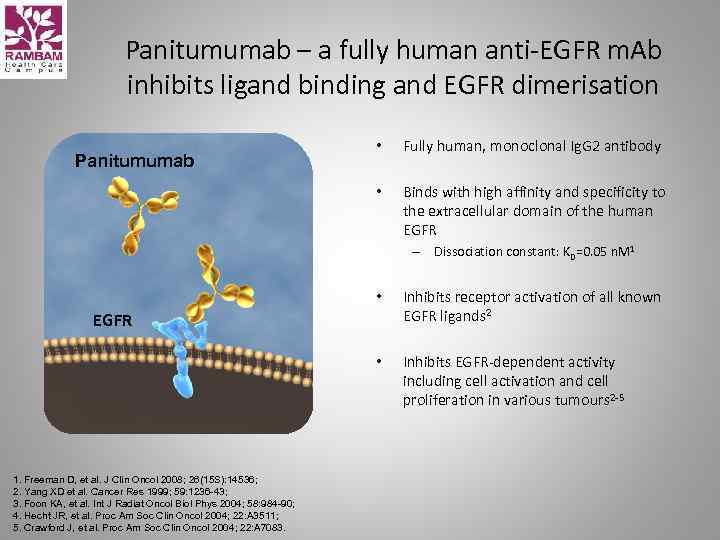 Panitumumab – a fully human anti-EGFR m. Ab inhibits ligand binding and EGFR dimerisation