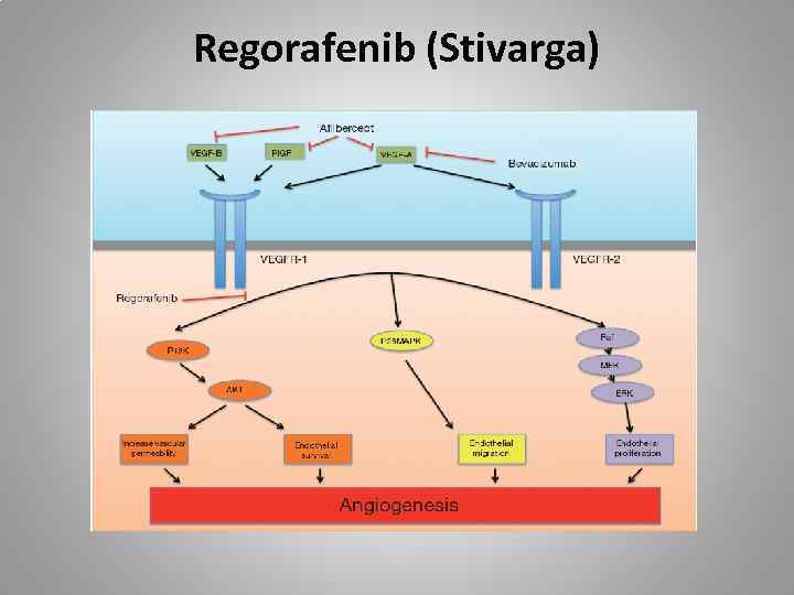 Regorafenib (Stivarga) 