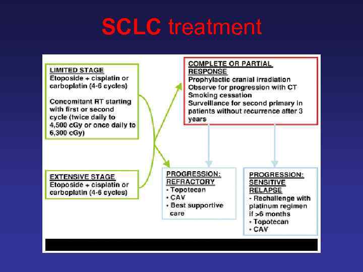 SCLC treatment 