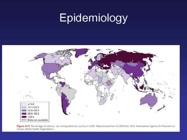 Epidemiology 