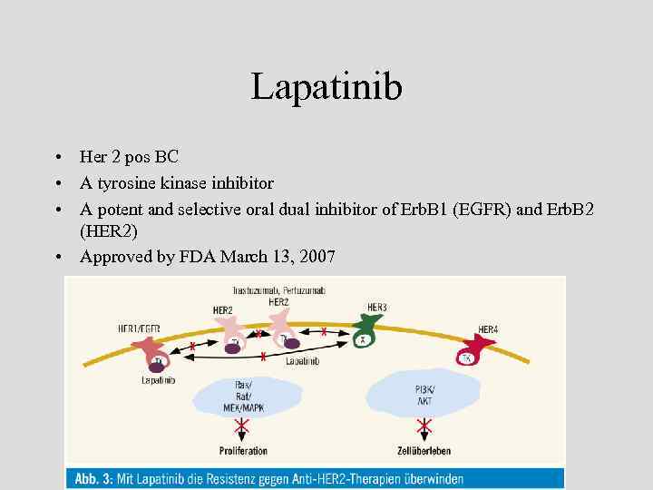 Lapatinib • Her 2 pos BC • A tyrosine kinase inhibitor • A potent