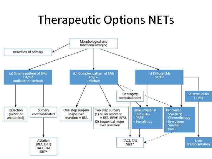 Therapeutic Options NETs Ø Surgery Ø Curative, Ablative Ø Debulking Ø Radiofrequency ablation (RFA)