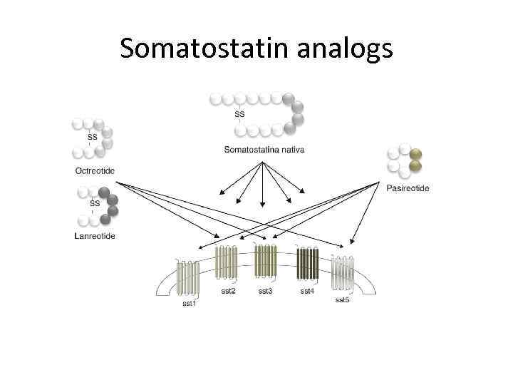 Somatostatin analogs 