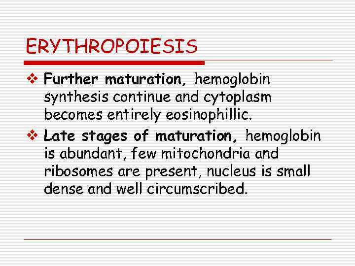 ERYTHROPOIESIS v Further maturation, hemoglobin synthesis continue and cytoplasm becomes entirely eosinophillic. v Late