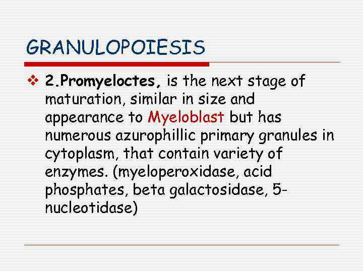GRANULOPOIESIS v 2. Promyeloctes, is the next stage of maturation, similar in size and