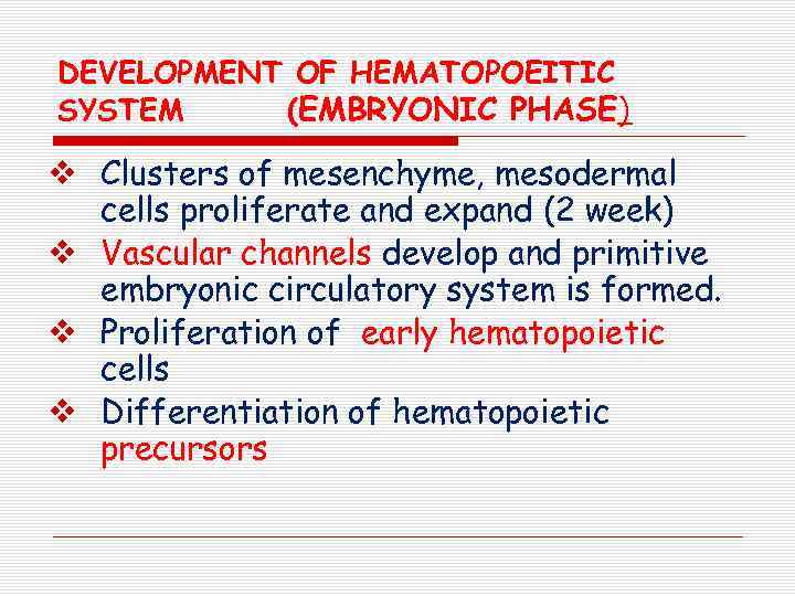 DEVELOPMENT OF HEMATOPOEITIC SYSTEM (EMBRYONIC PHASE) v Clusters of mesenchyme, mesodermal cells proliferate and