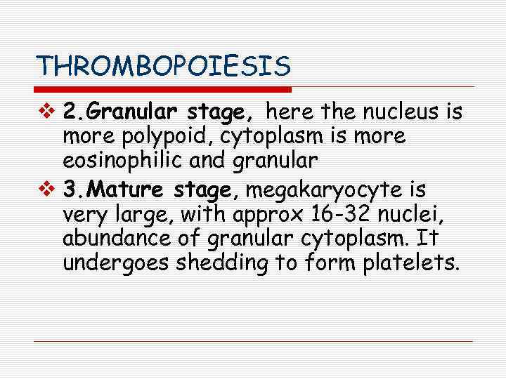 THROMBOPOIESIS v 2. Granular stage, here the nucleus is more polypoid, cytoplasm is more