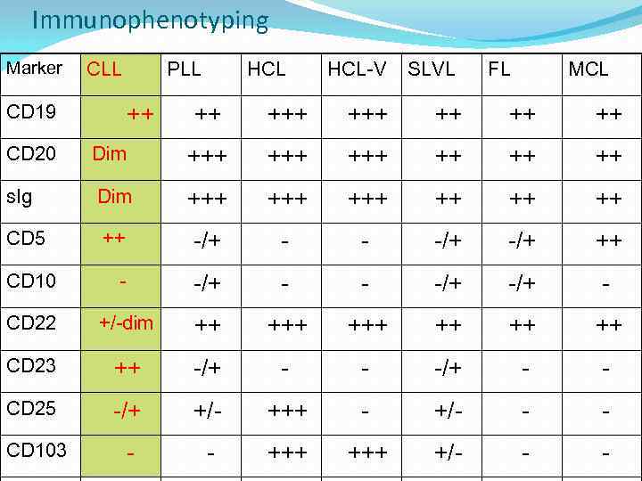 Immunophenotyping Marker CLL CD 19 PLL ++ HCL-V SLVL FL MCL ++ +++ ++