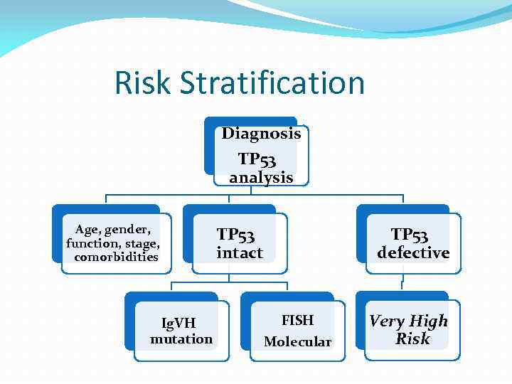 Risk Stratification Diagnosis TP 53 analysis Age, gender, function, stage, comorbidities Ig. VH mutation