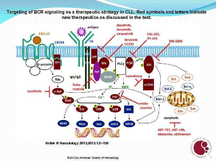 Targeting of BCR signaling as a therapeutic strategy in CLL. Red symbols and letters