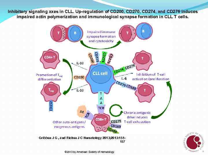 Inhibitory signaling axes in CLL. Up-regulation of CD 200, CD 274, and CD 276