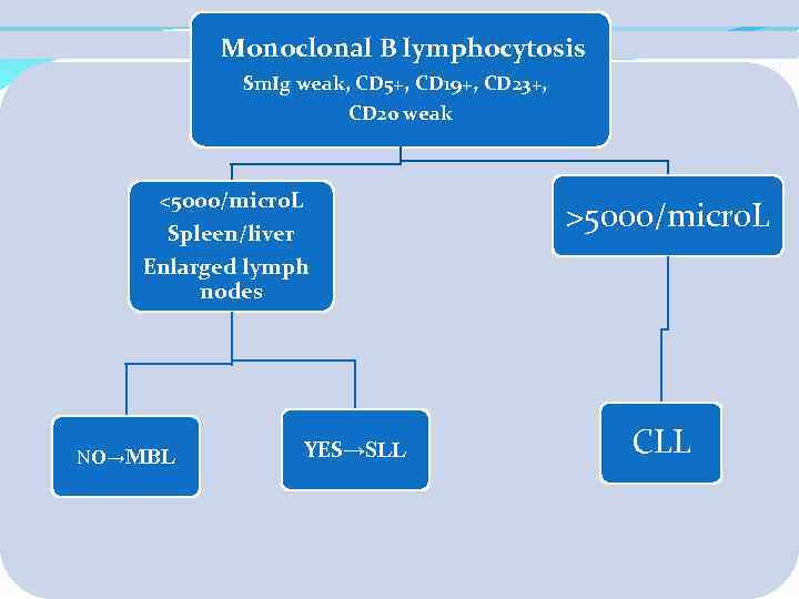 Monoclonal B lymphocytosis Sm. Ig weak, CD 5+, CD 19+, CD 23+, CD 20