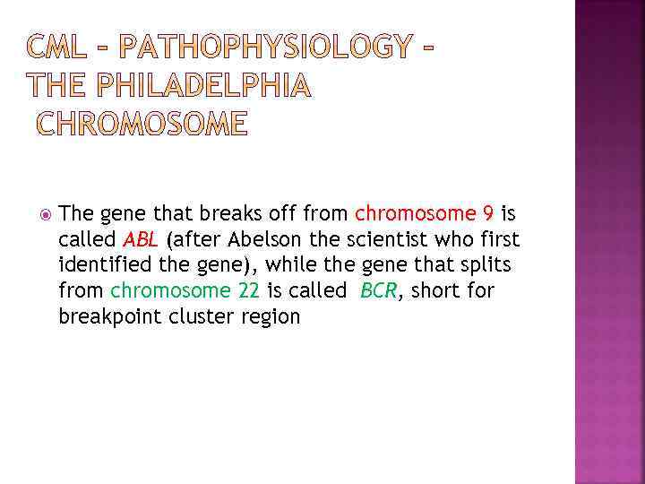  The gene that breaks off from chromosome 9 is called ABL (after Abelson