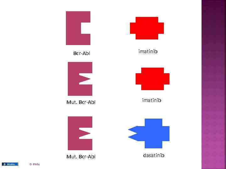 Bcr-Abl imatinib Mut. Bcr-Abl D. Bixby imatinib dasatinib 