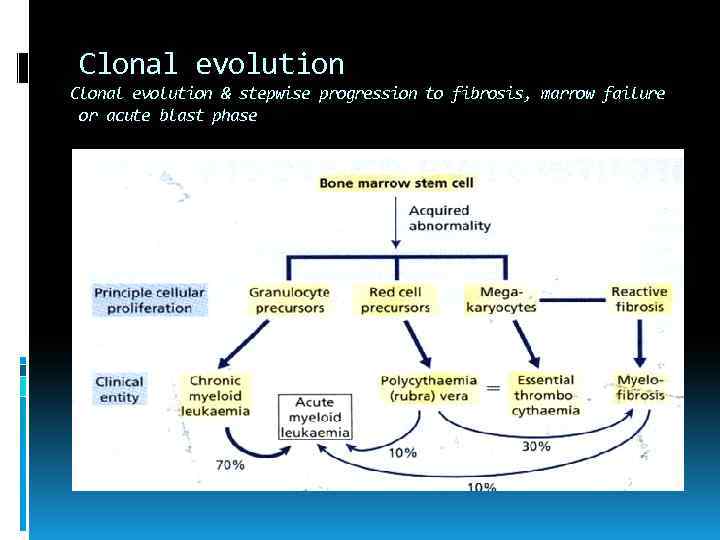 Clonal evolution & stepwise progression to fibrosis, marrow failure or acute blast phase 