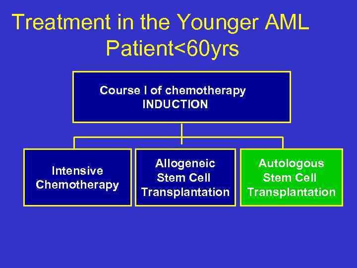 Treatment in the Younger AML Patient<60 yrs Course I of chemotherapy INDUCTION Intensive Chemotherapy