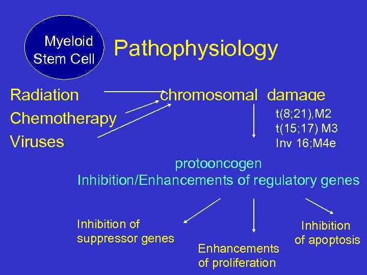 Myeloid Stem Cell Pathophysiology Radiation Chemotherapy Viruses chromosomal damage t(8; 21), M 2 t(15;