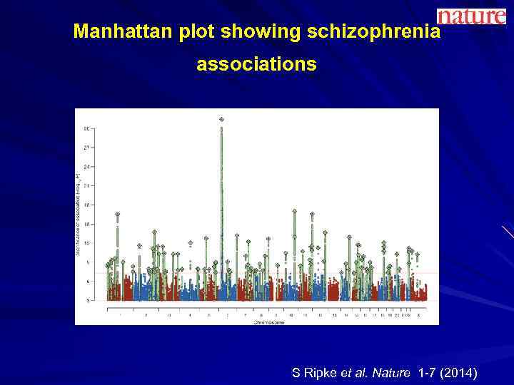 Manhattan plot showing schizophrenia associations S Ripke et al. Nature 1 -7 (2014) 