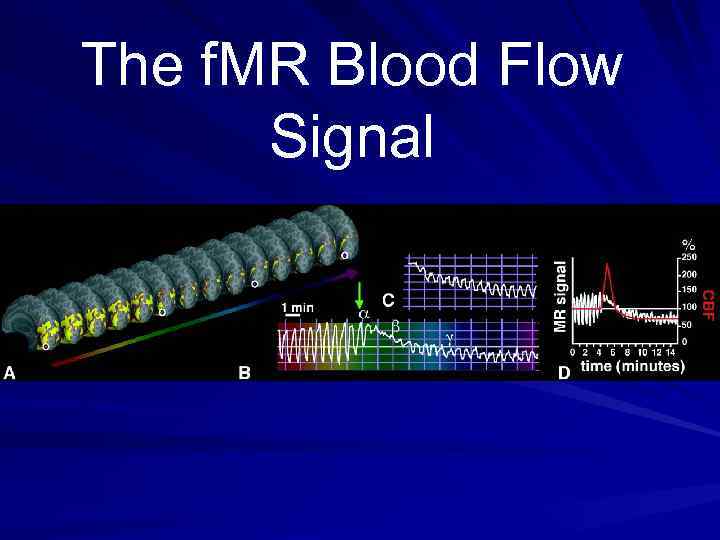 The f. MR Blood Flow Signal 