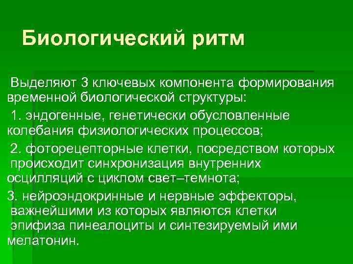 Биологический ритм Выделяют 3 ключевых компонента формирования временной биологической структуры: 1. эндогенные, генетически обусловленные