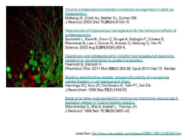 Chronic antidepressant treatment increases neurogenesis in adult rat hippocampus. Malberg JE, Eisch AJ, Nestler