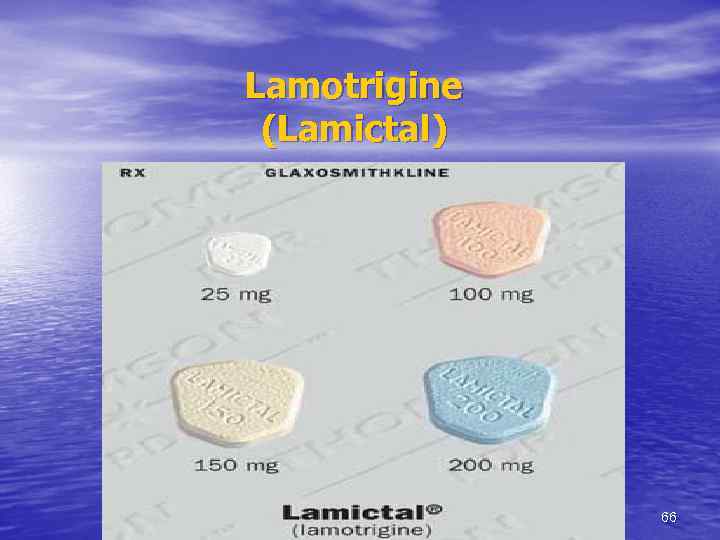 Lamotrigine (Lamictal) 66 