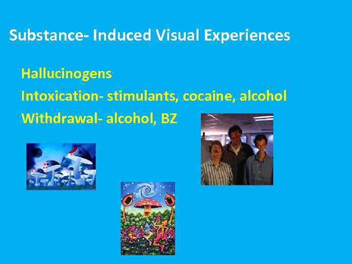 Substance- Induced Visual Experiences Hallucinogens Intoxication- stimulants, cocaine, alcohol Withdrawal- alcohol, BZ הזיות 
