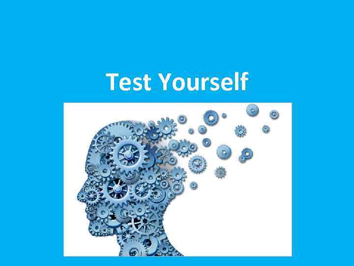 Test Yourself 