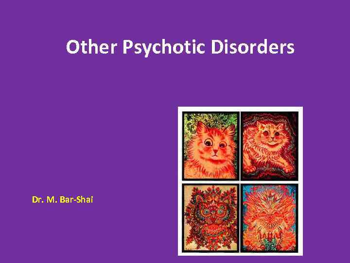 Other Psychotic Disorders Dr. M. Bar-Shai 