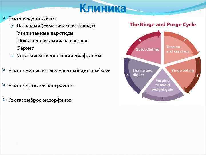 Клиника Ø Рвота индуцируется Ø Пальцами (соматическая триада) Увеличенные паротиды Повышенная амилаза в крови