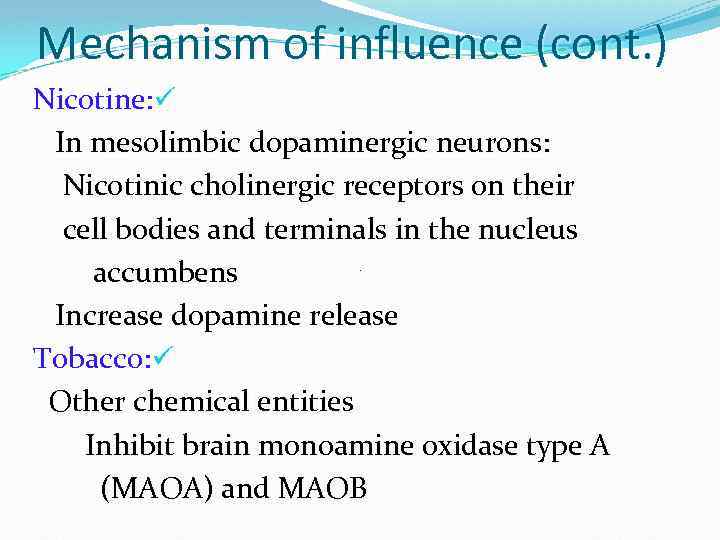 Mechanism of influence (cont. ) Nicotine: ü In mesolimbic dopaminergic neurons: Nicotinic cholinergic receptors