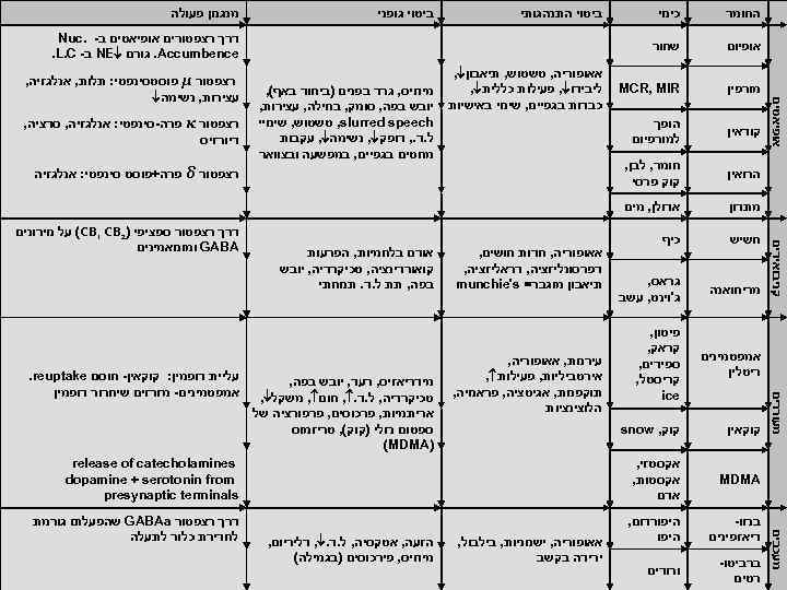 אופיום אופיאטים שחור מורפין החומר כינוי MCR, MIR קודאין ביטוי התנהגותי הופך למורפיום