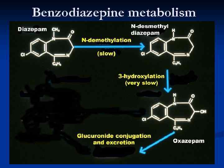 Benzodiazepine metabolism 