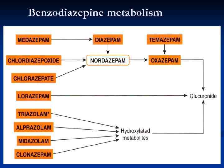 Benzodiazepine metabolism 