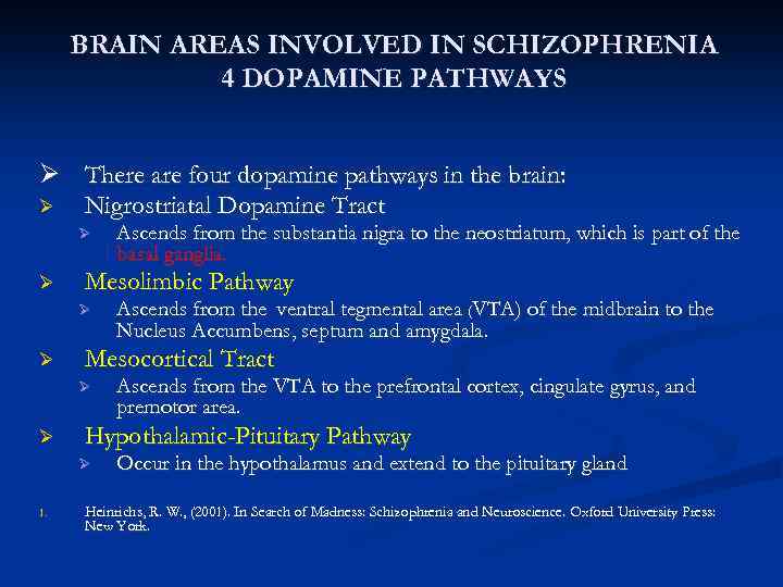 BRAIN AREAS INVOLVED IN SCHIZOPHRENIA 4 DOPAMINE PATHWAYS Ø There are four dopamine pathways