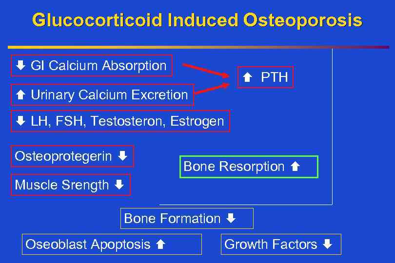 Glucocorticoid Induced Osteoporosis GI Calcium Absorption PTH Urinary Calcium Excretion LH, FSH, Testosteron, Estrogen